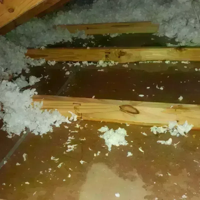 Attic Water Damage in Hickory County, MO