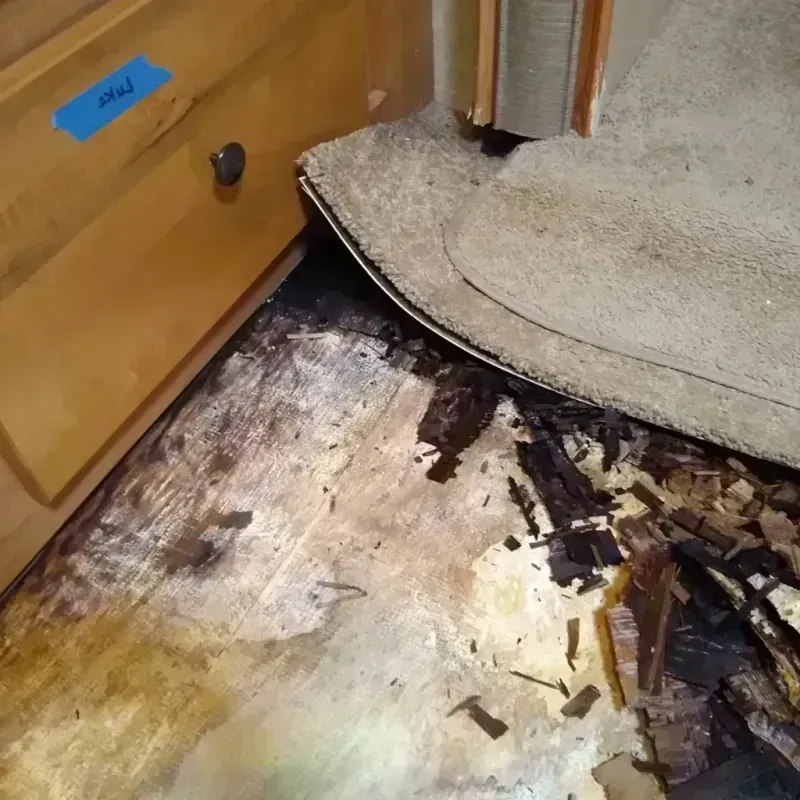 Wood Floor Water Damage in Hickory County, MO